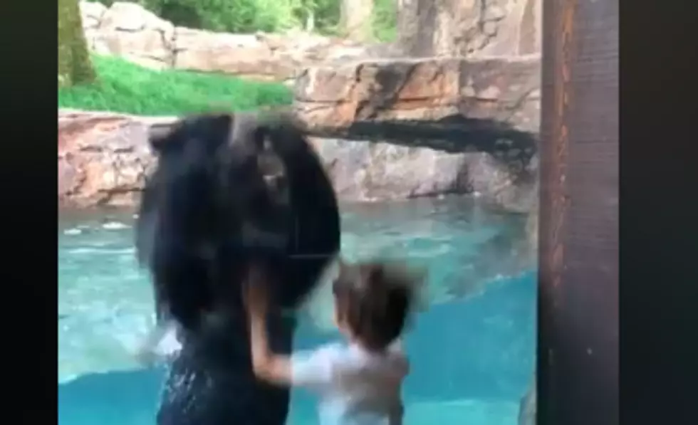 Little Boy Jumps Up and Down with Bear [VIDEO]