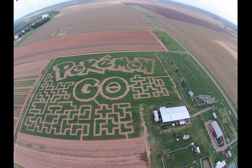 Win the Ultimate Prize Package By Designing the Dixie Corn Maze