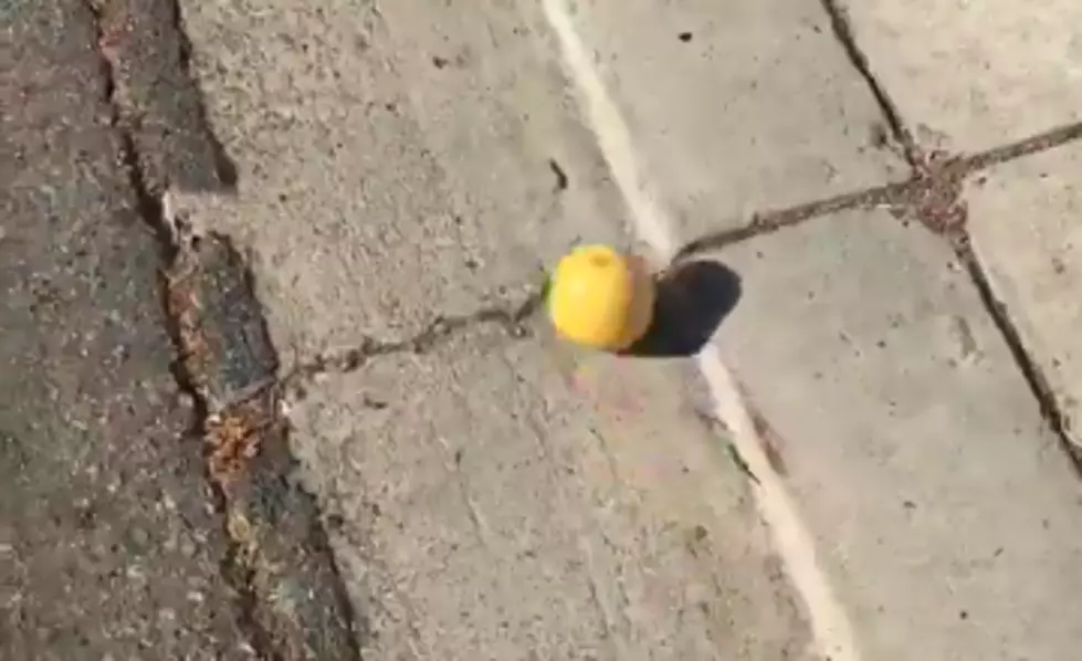 Watch a Lemon Roll Down a Street for a Quarter Mile [VIDEO]