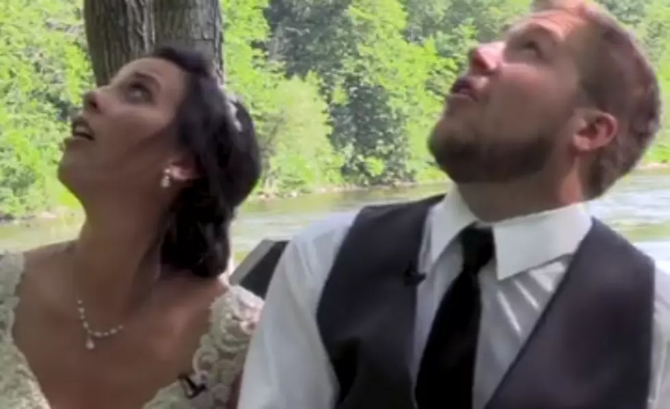 Newlywed Couple Nearly Crushed by Falling Tree Branch [VIDEO]
