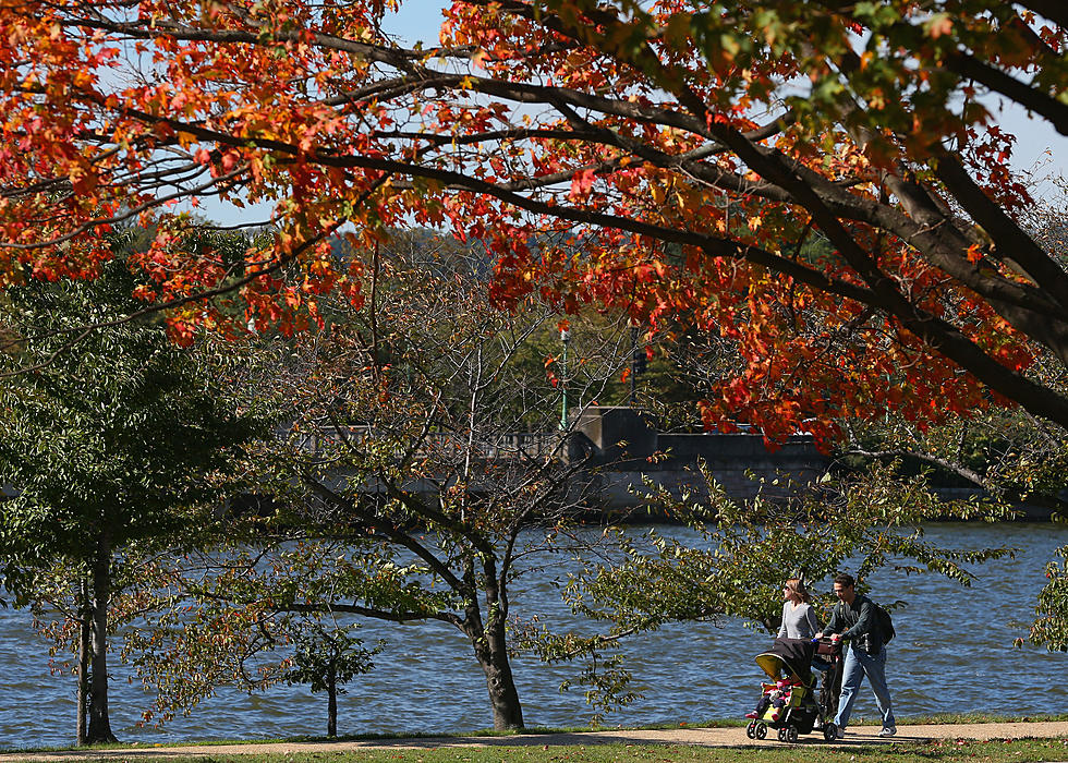 Each State Ranked By Autumn Season – Where Did Louisiana Fall?