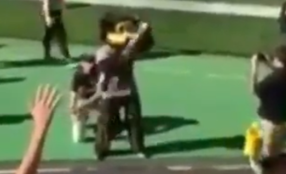 College Mascot Shoots Himself in Groin With T-Shirt Cannon [VIDEO]