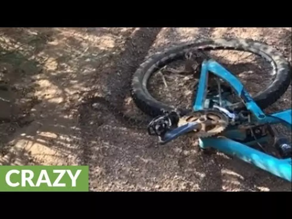 Cyclist Finds Himself Within Inches of Live Rattlesnake [VIDEO]