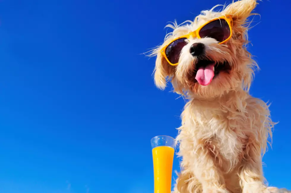 Barkus and Meoux&#8217;s Dog Days of Summer is Sunday, July 28, 2019