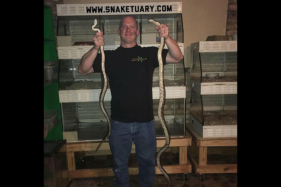 Snake Expert Claims You CAN Smell Snakes