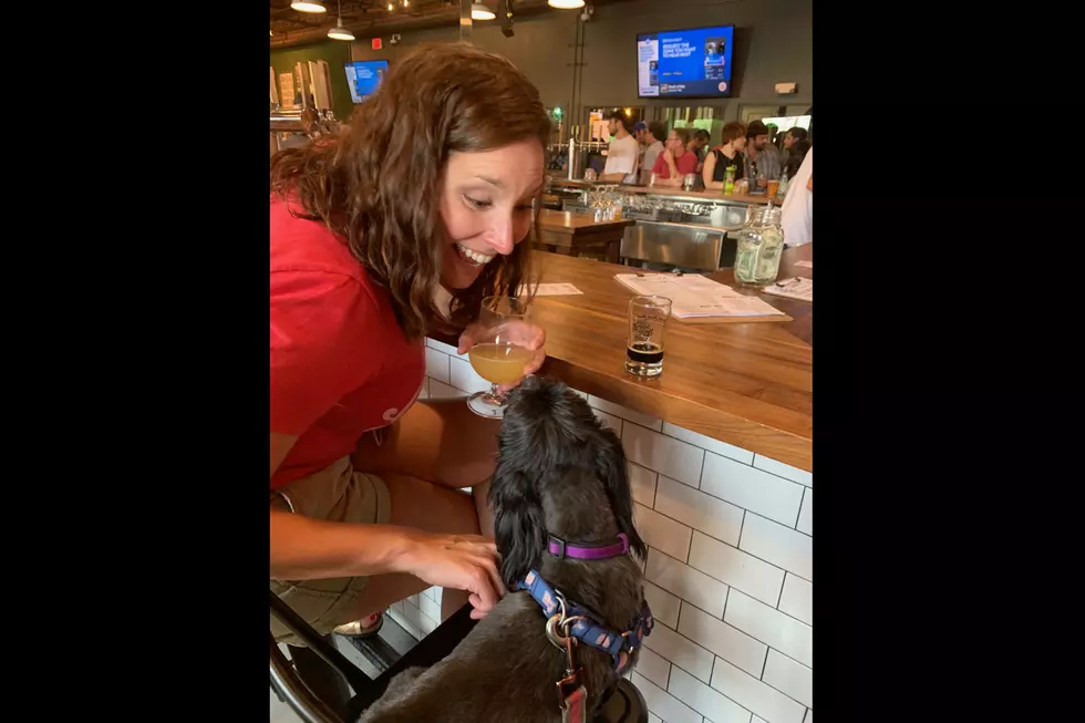 Dog Friendly Patios and Hangouts
