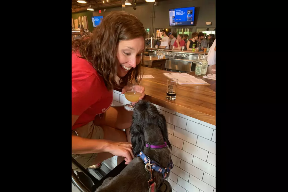 Dog Friendly Patios and Hangouts 