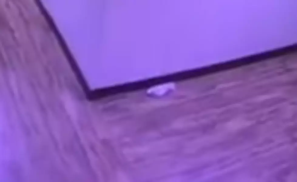 Random Sock Found in Radio Station Hallway, How’d It Get There? [VIDEO]