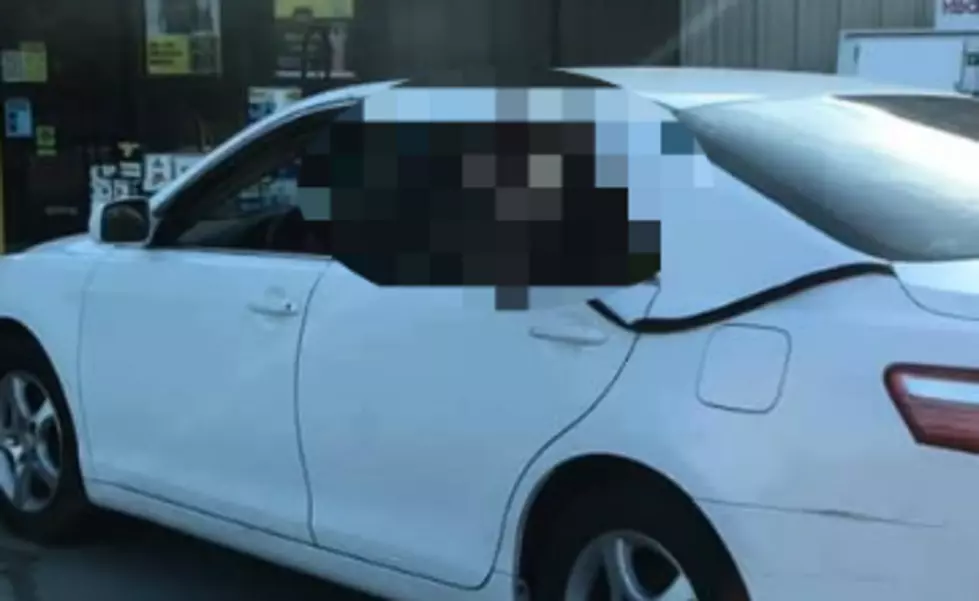 No Horsing Around: See What&#8217;s in the Back of this Louisiana Car