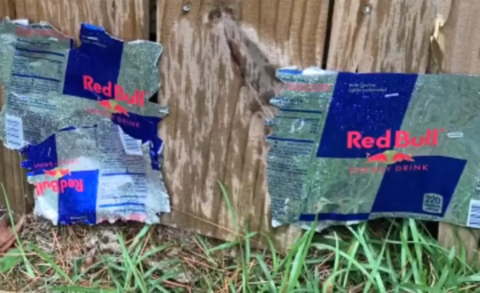 My Boss Broke the Backyard Fence, So I Fixed it With What he Hates the Most [VIDEO]
