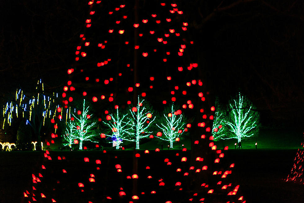 Free Drive-Thru Christmas Light Display in the Ark-La-Tex