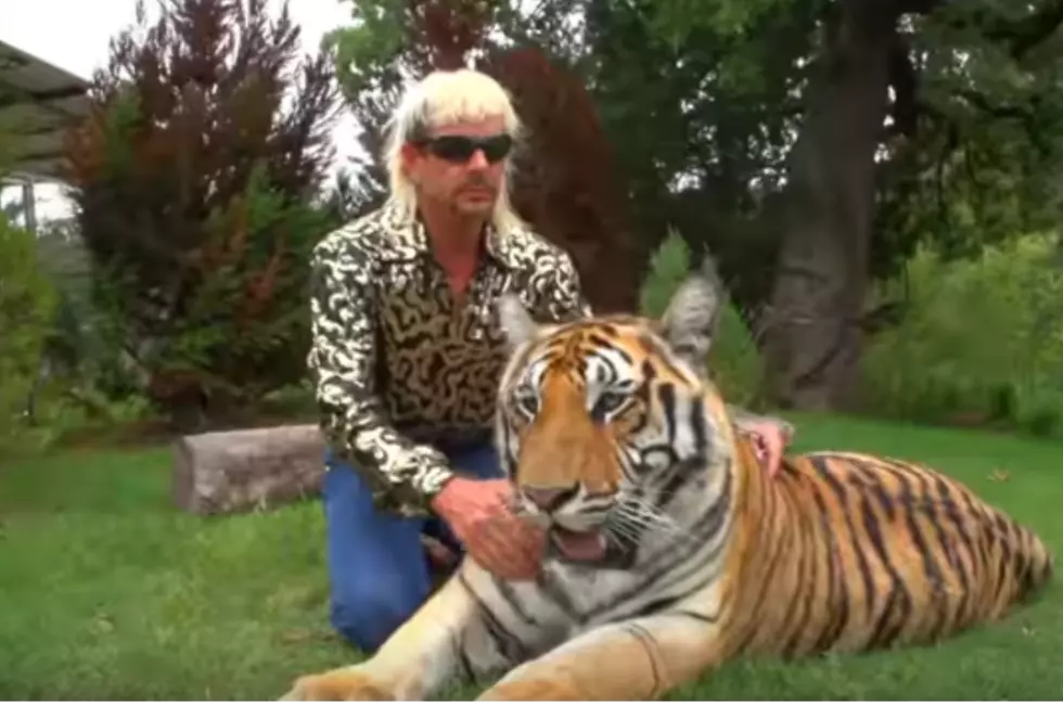 5 Reasons You Need to Watch Tiger King