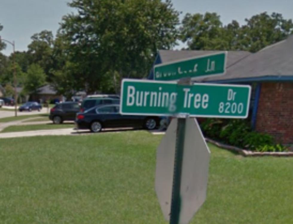 Check Out These Weird, Strange and Hilarious Louisiana Street Names