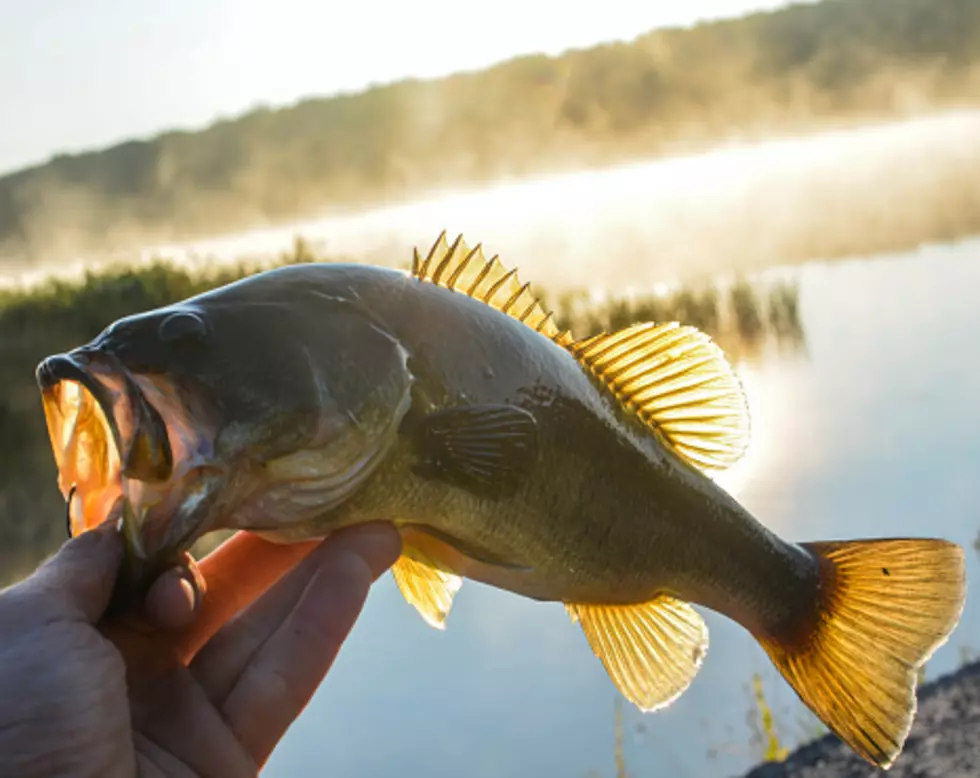 This Saturday is Free Fishing Day in Texas!