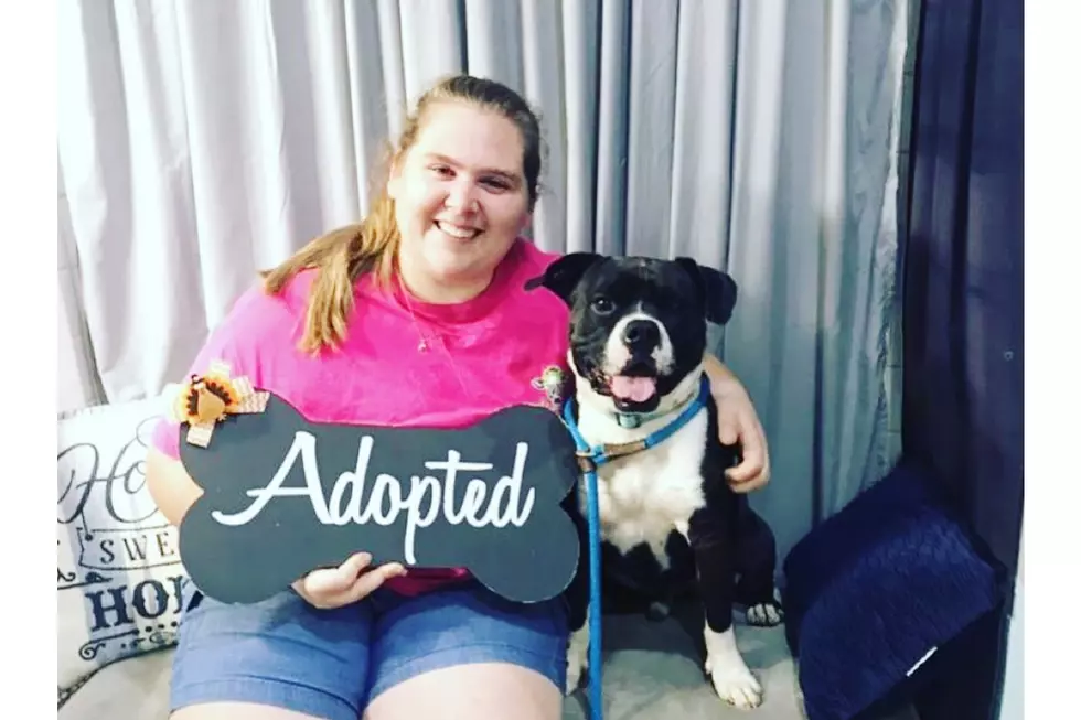 Dog Adopted After a Year Long Search for Home