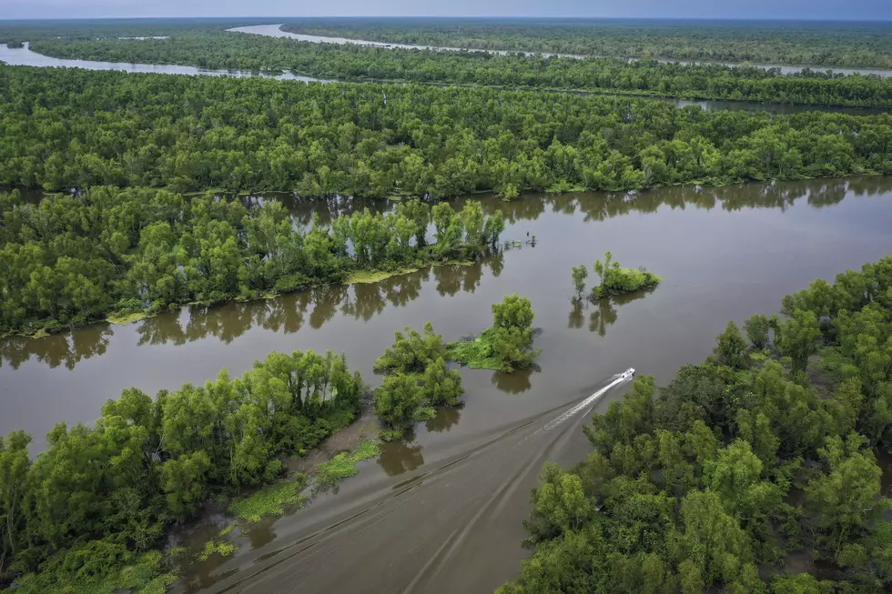 6 Of The Largest Landowners In Louisiana