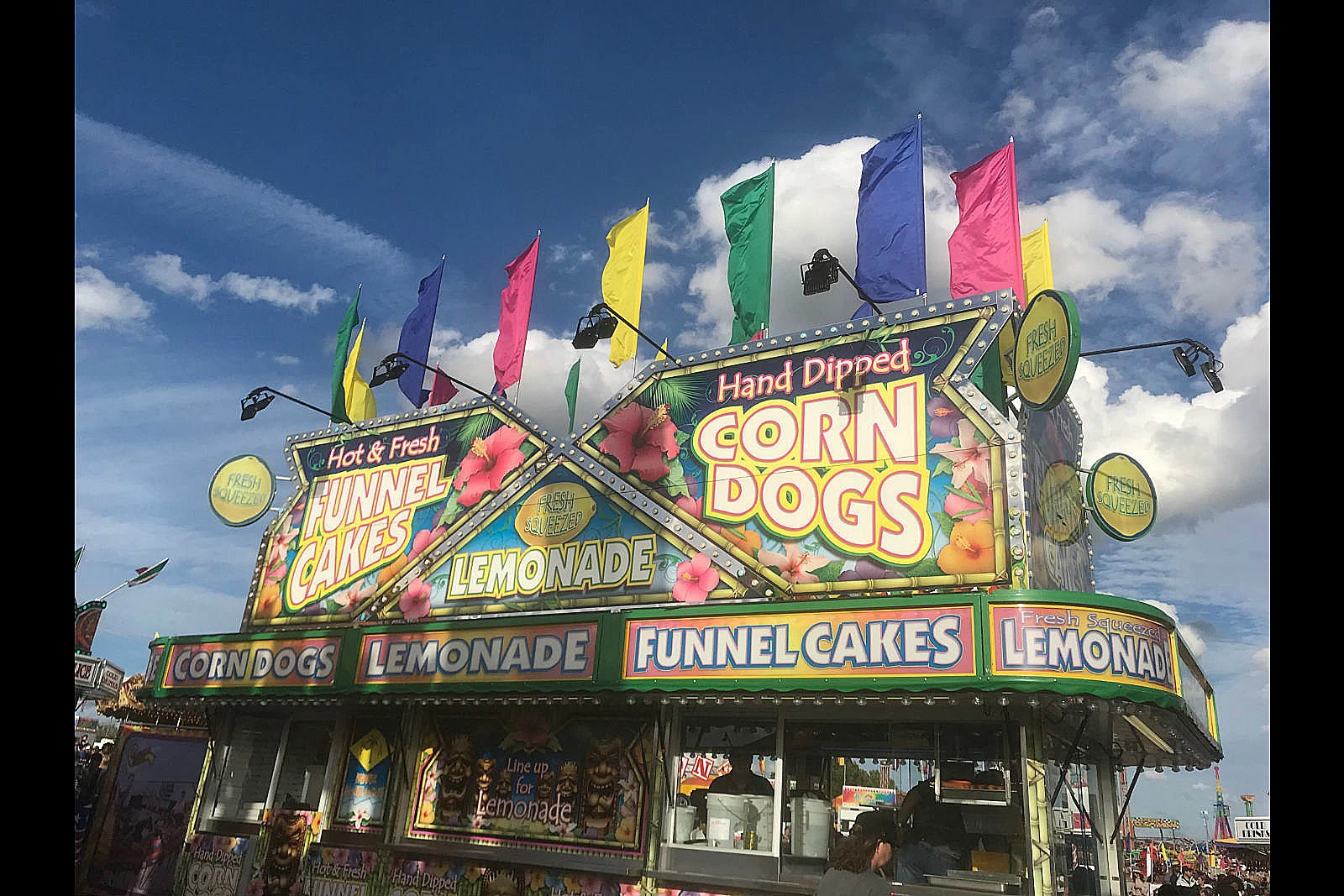 6 of the Best Food Options at the State Fair of Louisiana