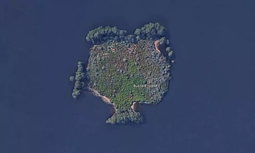 Do You Believe Bird Island on Cross Lake is Shaped like a Bird?