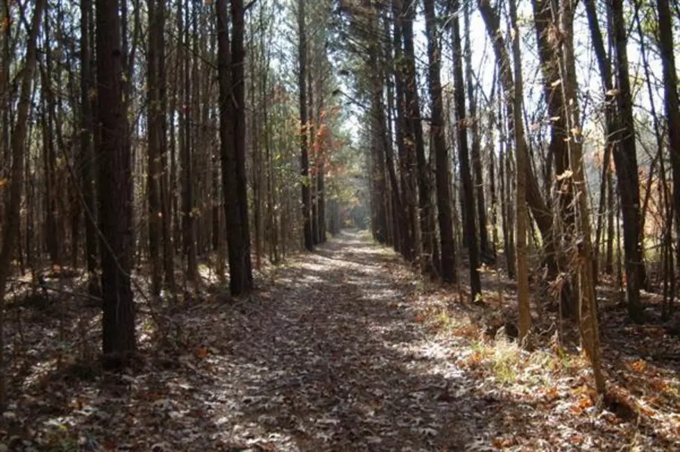 This Hidden Gem Hiking Trail In Caddo Features Lush Scenery and Apes