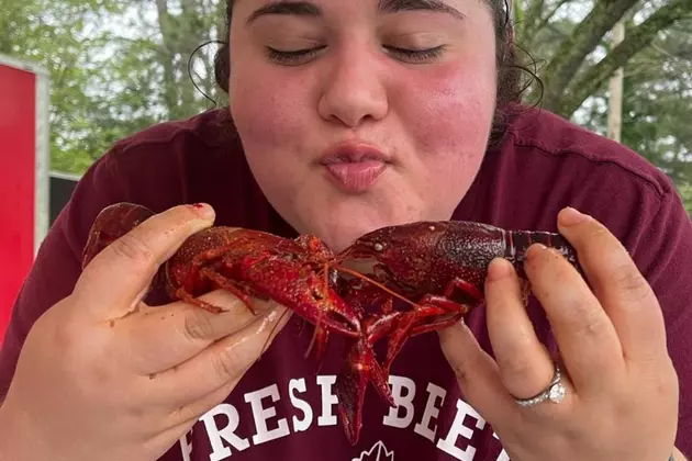 Did the Artic Freeze Ruin a Good Louisiana Crawfish Season?