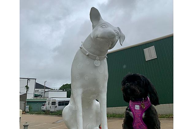 Why Does Downtown Shreveport Have a Giant Dog Statue?