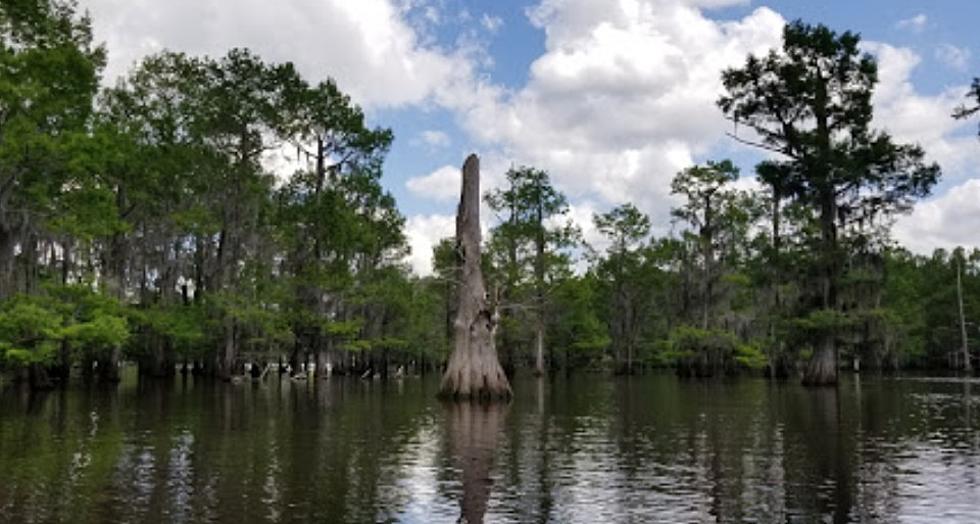 Annual Drawdown Of Lake Bistineau Scheduled To Begin Soon