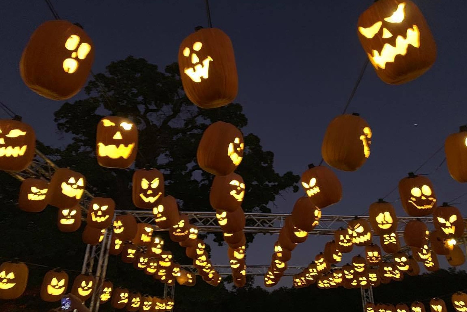 See Over 3,000 Pumpkins at Pumpkin Nights in Dallas