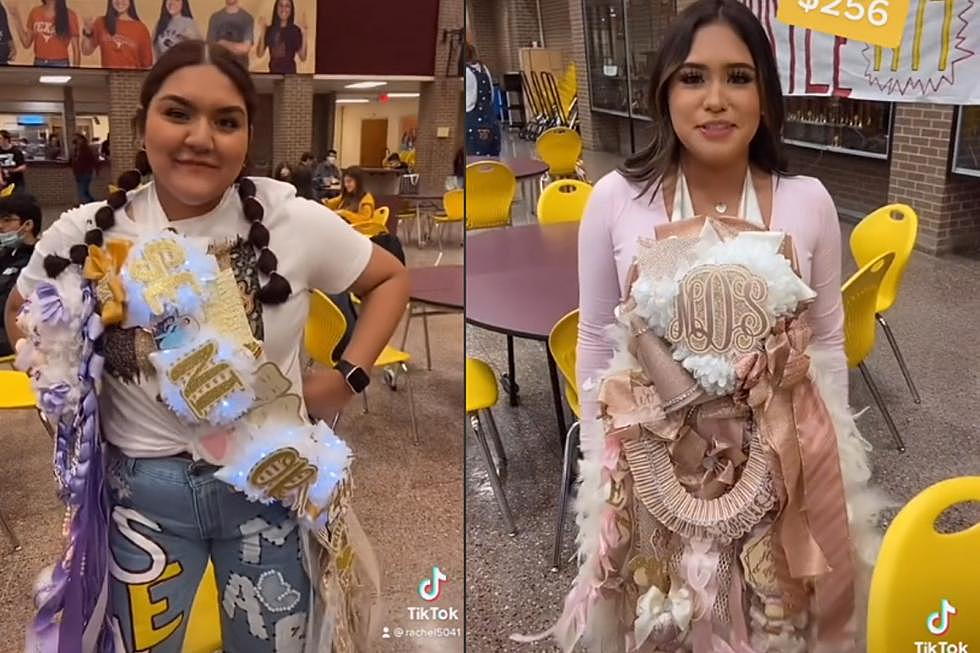Texas Mums Cost How Much? Viral TikTok Shows Shocking Price Tags