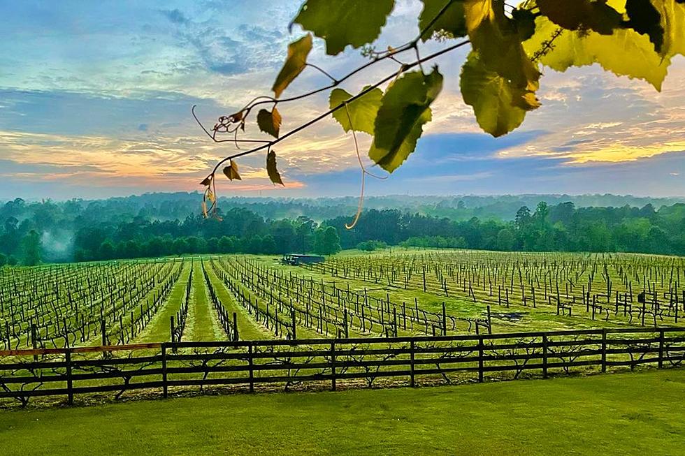 Valentine's Day Date at a Winery a Short Drive from Shreveport