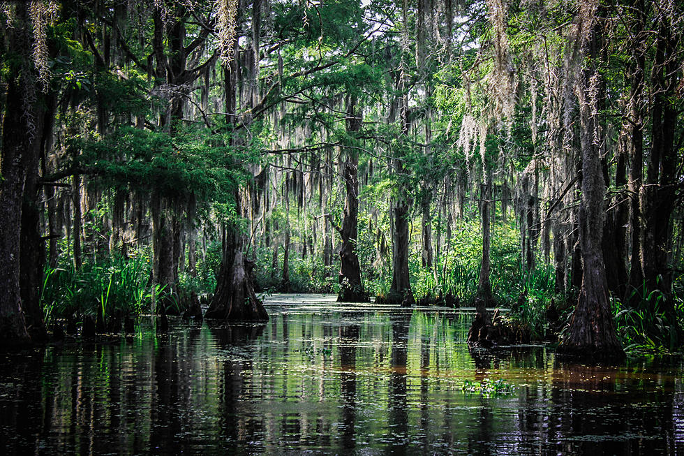 Here’s an Easy Guide to Figure Out if Someone is from Louisiana