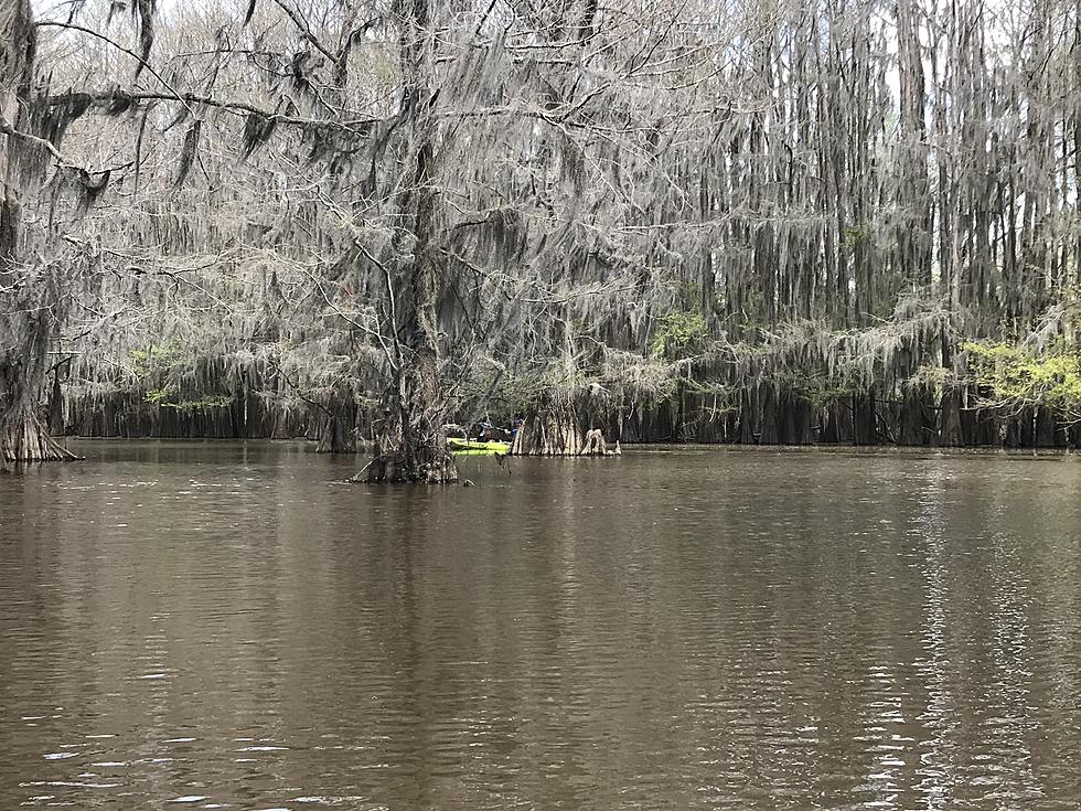 Check Out This Awesome Kayak Trail A Short Drive From Shreveport