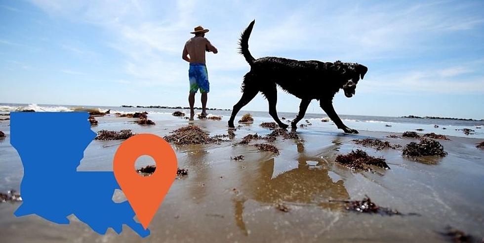 This Dog Friendly Louisiana Beach Is a Perfect Weekend Getaway