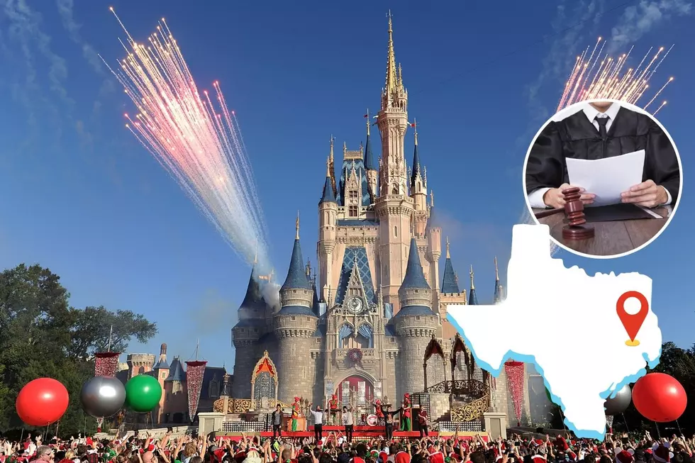 One Texas Judge Thinks He Can Move Walt Disney World to Houston