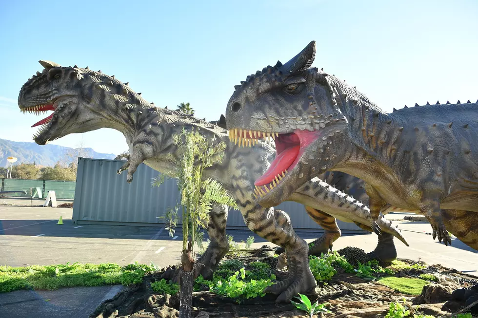 Dino Lovers Rejoice Because Jurassic Quest is Invading Shreveport