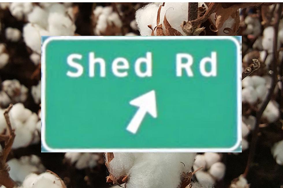 Here's Why Shed Road in Bossier City, LA is Called Shed Road