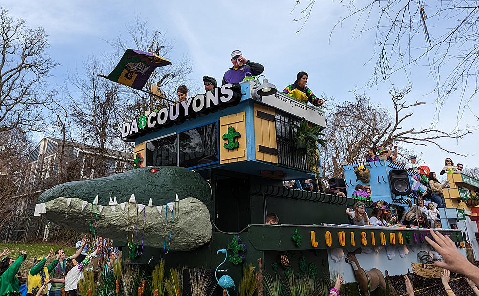 See 92 Pictures From The 2023 Krewe Of Highland Parade