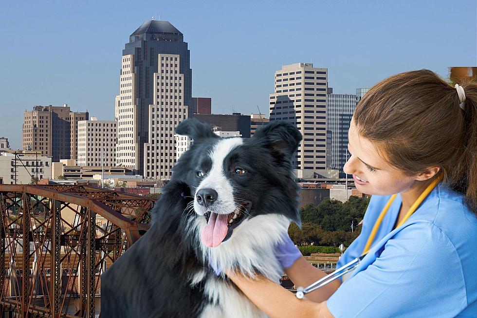Get Low Cost Pet Vaccinations this Weekend in Shreveport