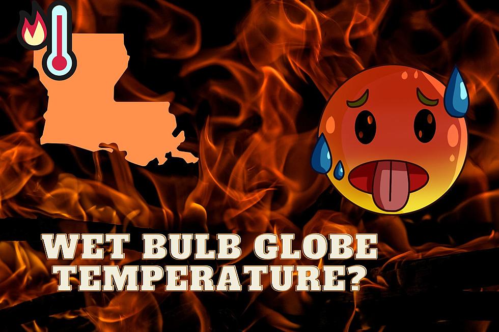 Wet Bulb Globe Temperature and How It Affects Us in Louisiana