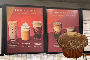 Should Louisiana Hold Off on Rolling Out Pumpkin Spice Flavor?