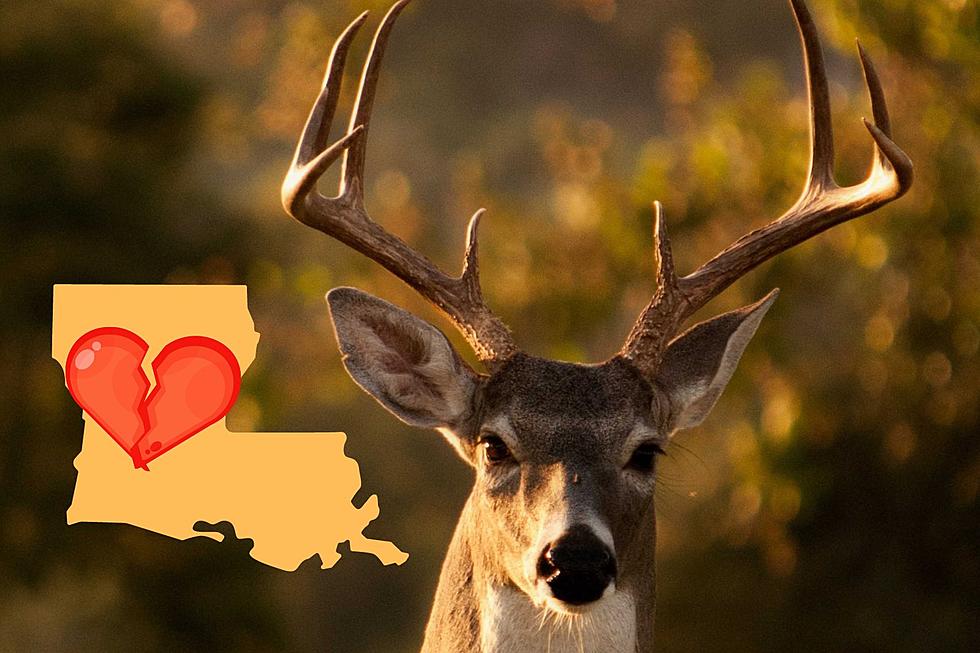 Heads Up! It&#8217;s Time for Louisiana&#8217;s Annual Deer Season &#8216;Divorces&#8217;