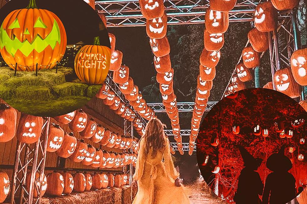 Two Texas Cities Bring in Over 5,000 Pumpkins For Epic Experience
