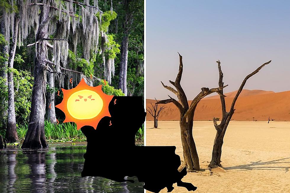 Watch: This TikTok Shows How Bad Louisiana’s Drought Really Is