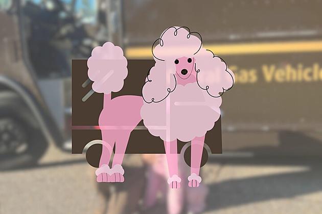 Poodle Helps One of Shreveport&#8217;s Favorite UPS Drivers Go Viral