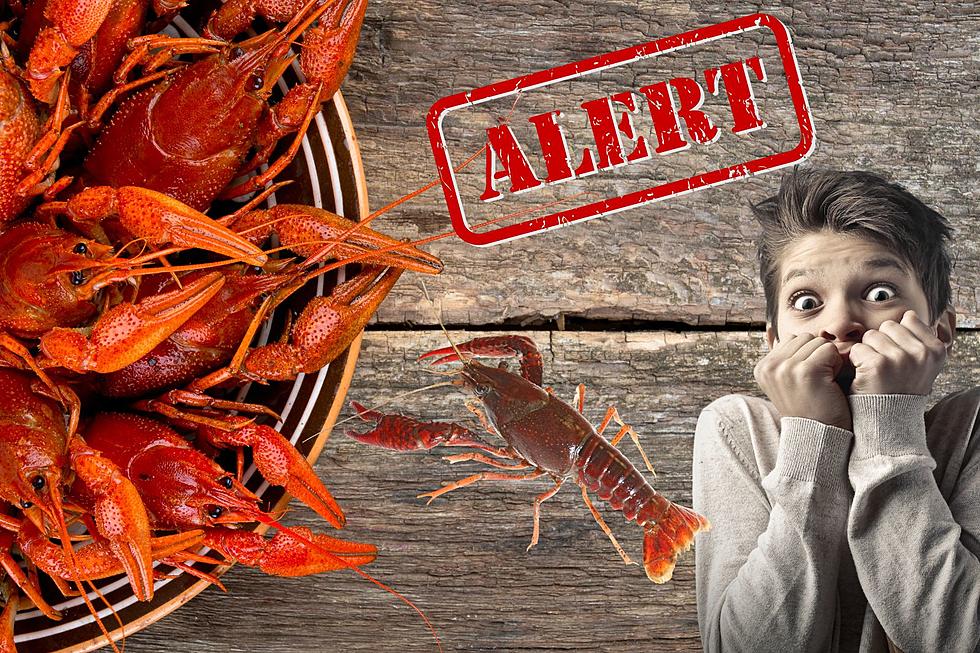 Louisiana Fact or Fiction? Can You Eat Straight-Tail Crawfish?
