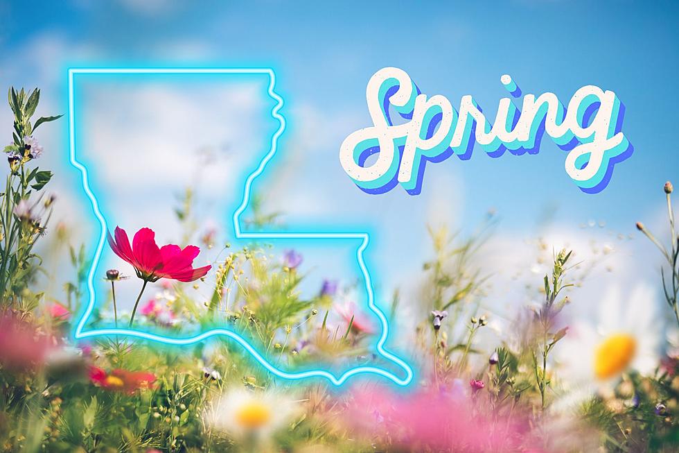 Hilarious Things You&#8217;ll Only Hear in Louisiana in the Spring