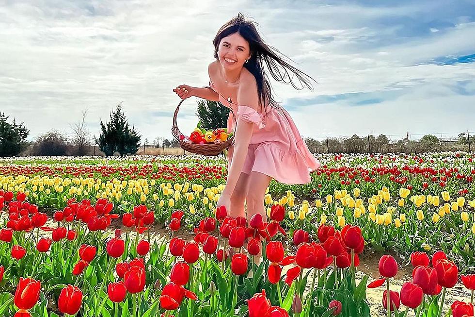 Love Flowers? Check Out This Tulip Field in Texas