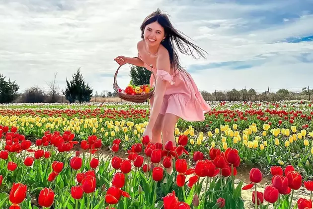 Love Flowers? Check Out This Tulip Field in Texas