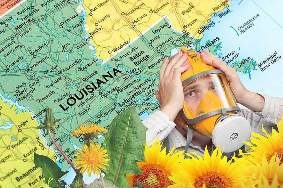 Do You Have Allergies or a Cold? Welcome to Spring in Louisiana