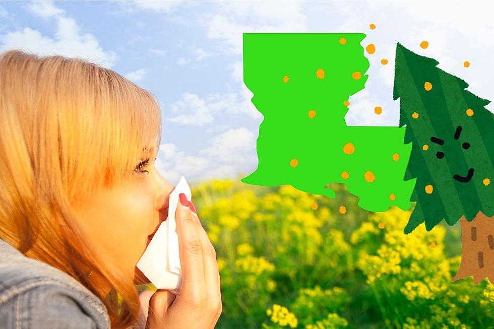 Top 10 Ridiculous Pollen Fighting Products Louisiana Needs Now