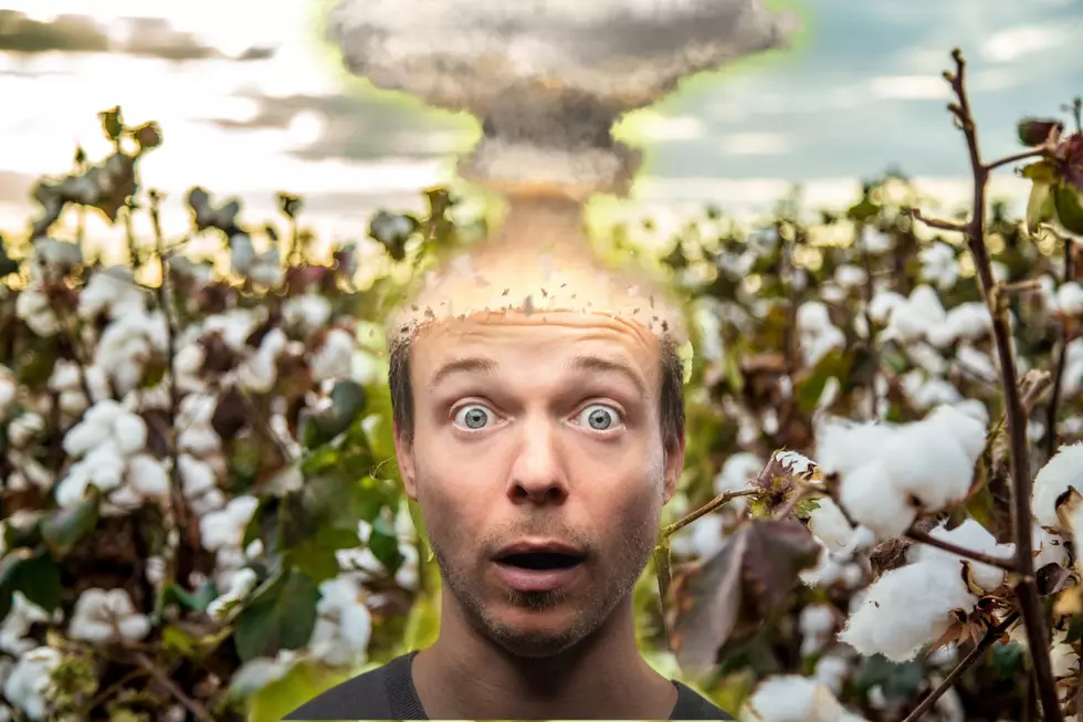 Ridiculous: Is It Really Illegal to Grow Cotton in Louisiana?